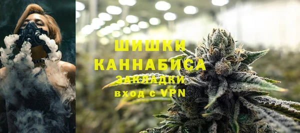 метадон Заводоуковск