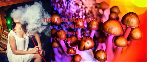 метадон Заводоуковск