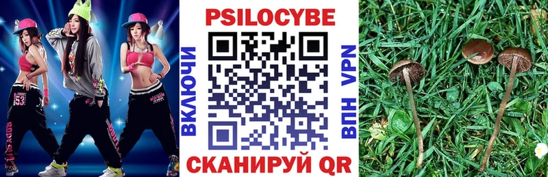 Псилоцибиновые грибы Cubensis  Купить закладки  Кадников 