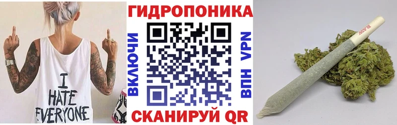 Купить закладки Кадников Конопля VHQ